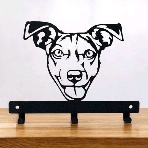 Jack russell dog - jack, lead
