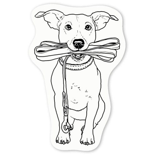 Jack russell holding lead - 'jack,