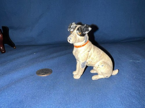 Jack russell terrier german - russell,