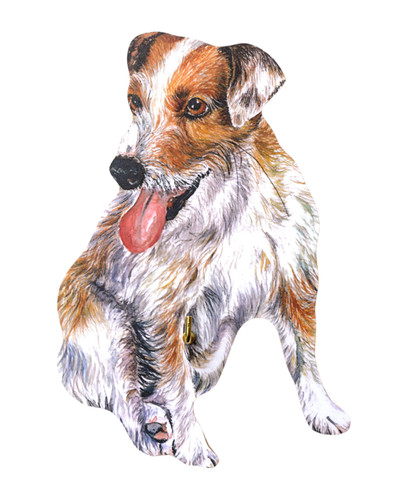 Jack russell lead hanger - russell,