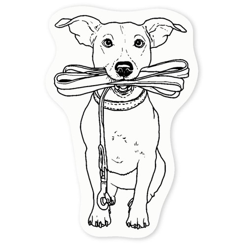 Jack russell holding lead - 'jack, lead'