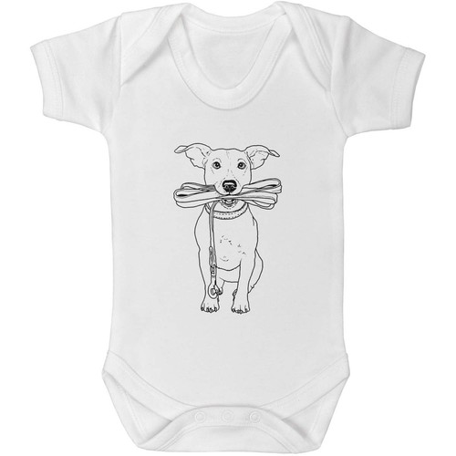 Jack russell holding lead - russell,