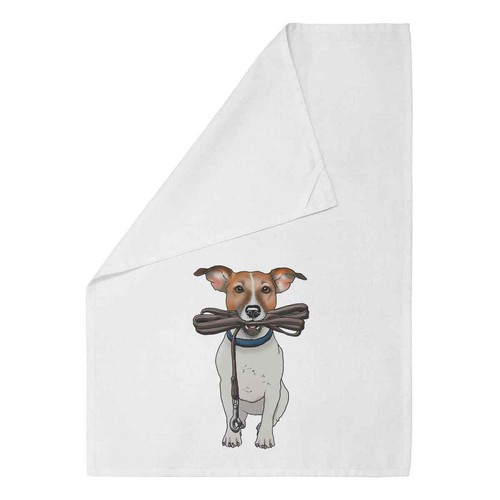 Jack russell holding - 'jack,