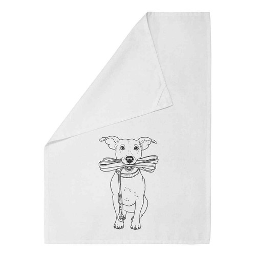 Jack russell holding - 'jack, lead'