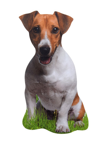 Jack russell lead hanger - lead,
