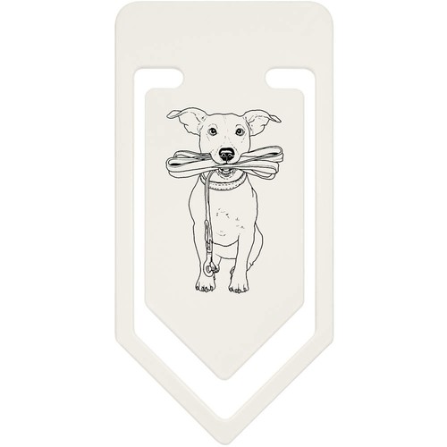 Jack russell holding lead - russell,