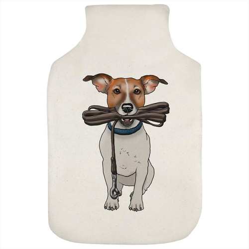 Jack russell holding lead - 'jack,