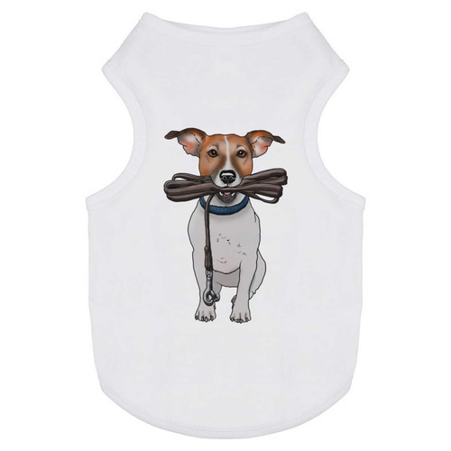 Jack russell holding lead - russell, lead'