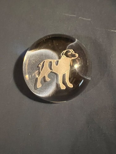 Jack russell terrier - jack, etched