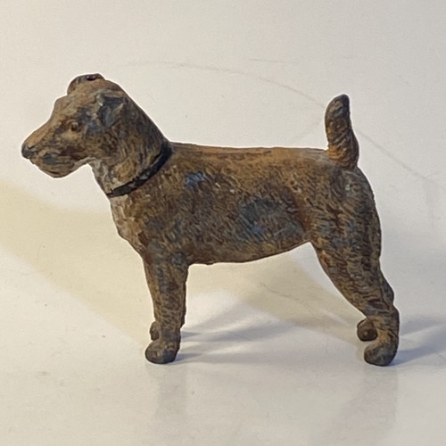 Jack russell terrier - russell,