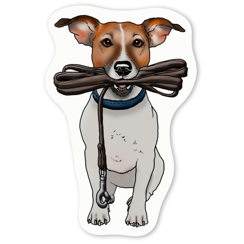 Jack russell holding - holding, lead'