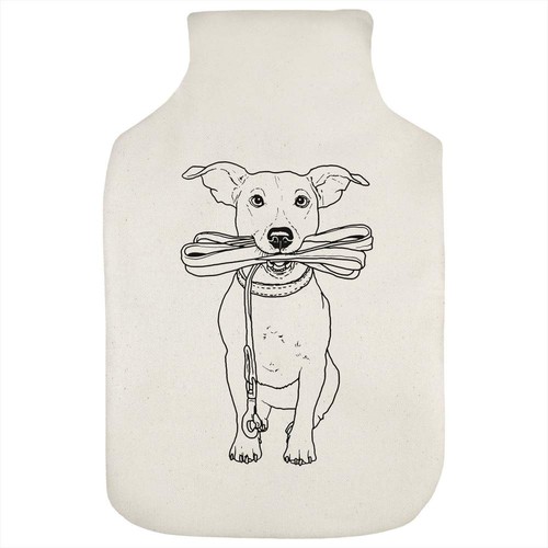 Jack russell holding - holding, lead'