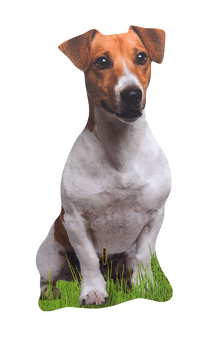 Jack russell lead hanger - jack,